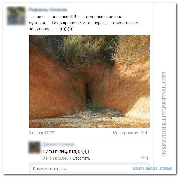 Комментарии из социальных сетей