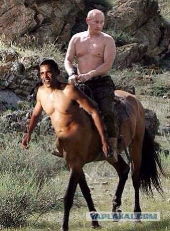 Смешные картинки и комментарии