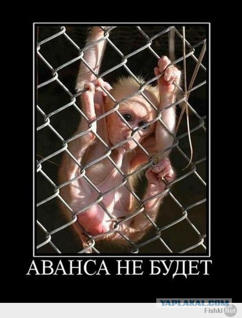 2 недели до зарплаты! - ЯПлакалъ