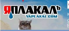 Поймай их), а что будет?