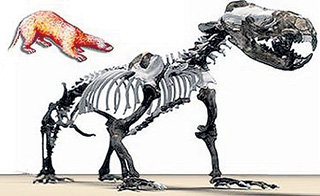 Как я познакомился через газету