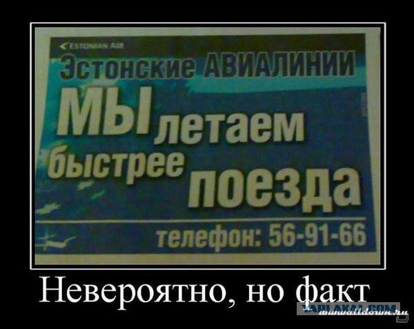 Подборка весёлых картинок