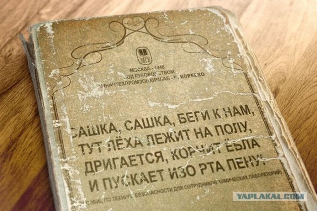 Мииилый семейный юмор! <3 :)))