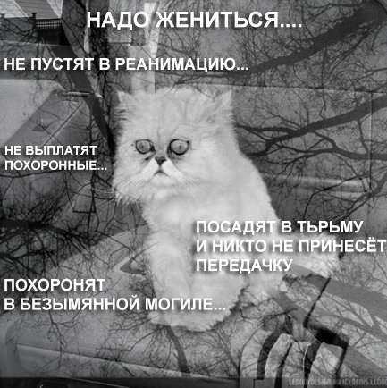 Зачем жениться