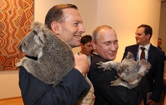 "Не хотите коал, получите...!"