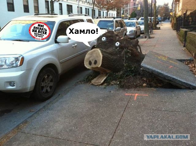 Вылезло нечто...