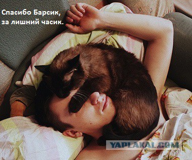 ФОТОЖАБА «Спасибо»