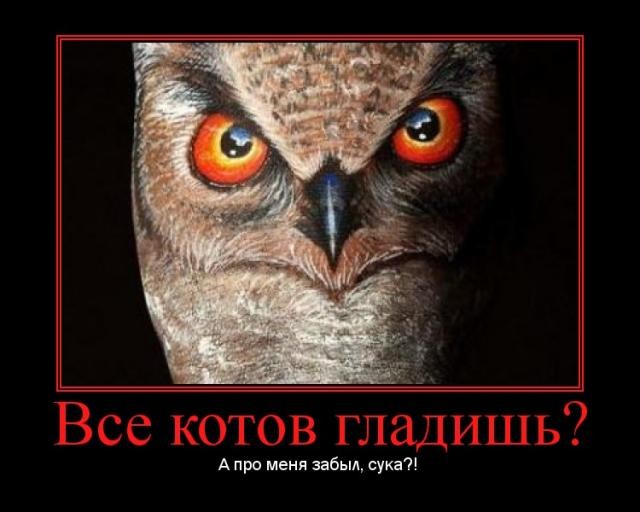 Поиграй со мной! Погладь меня!