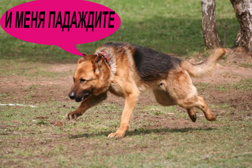 Уже да :) Ужо пятнецца...
