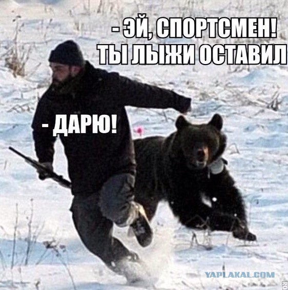 Картинки из сети, бессмысленные и беспощадные