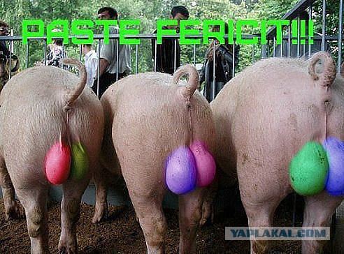 Короче, ты не просто спал...это был наркоз...И мы отрезали тебе шары...