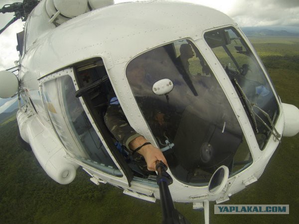Картинки для поднятия настроения - 4