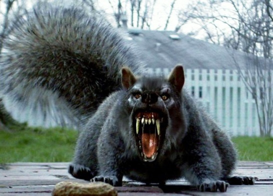 Подборка интересных и веселых картинок