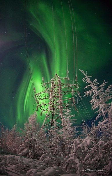 Интересные и веселые картинки