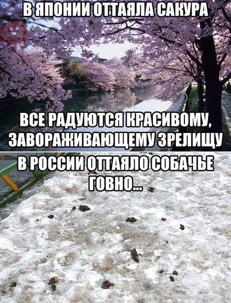 Слегка чёрный и абсурдный юмор к выходным