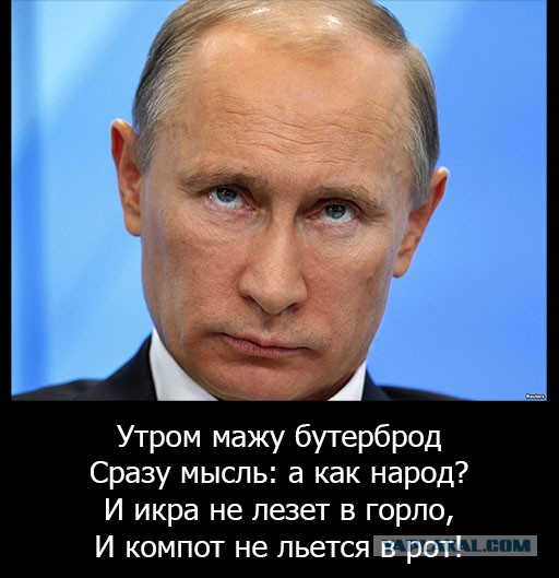 Более 80% россиян одобряют работу Путина