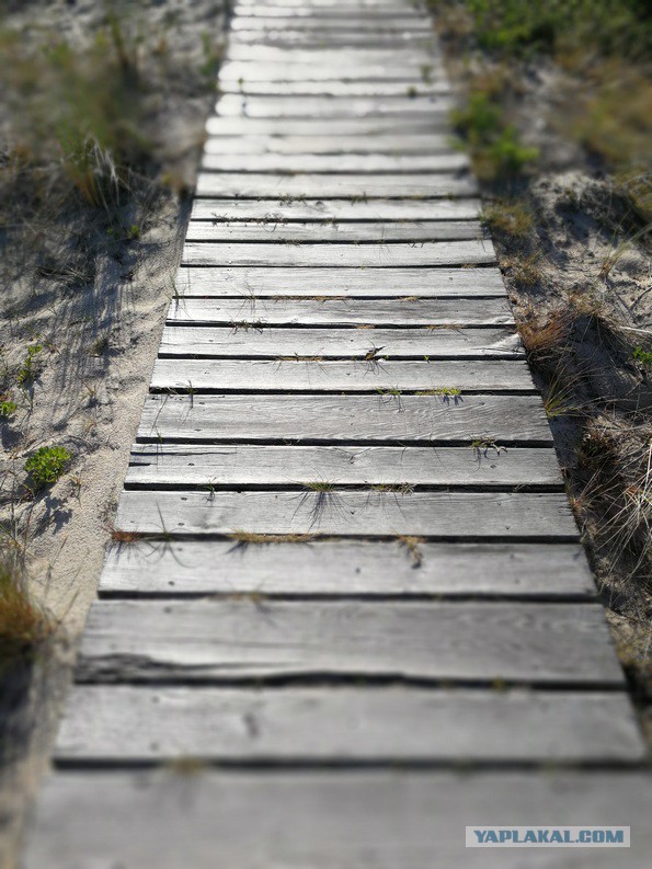 Как могла бы выглядеть русская деревня под грузом европейских ценностей