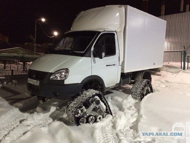 Кого только не встретишь по дороге домой