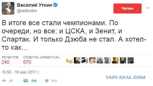 Беседка ФиС ЯПа 3