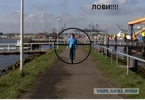 Ничего не потеряли? ...