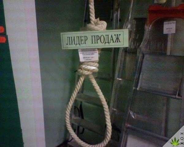 WTF: что тут происходит?