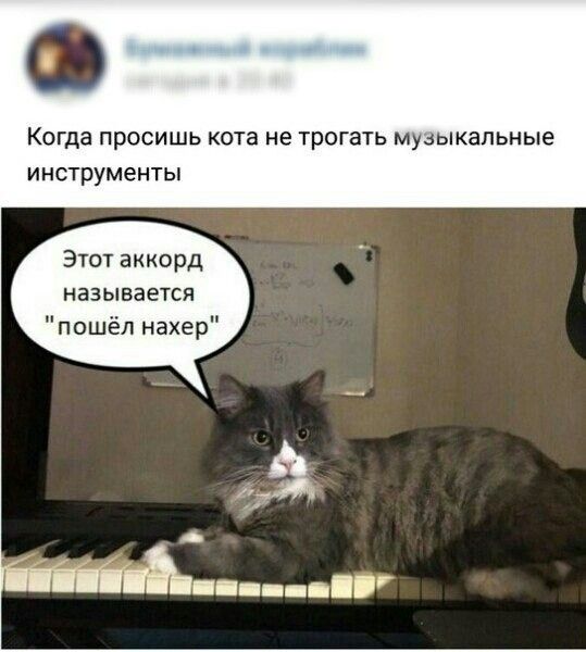 Всякие картинки