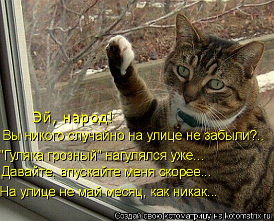 Впусти хозяин!