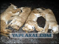 Первая встреча с отцом