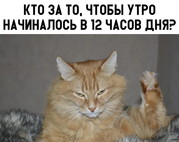 13633985.jpg
