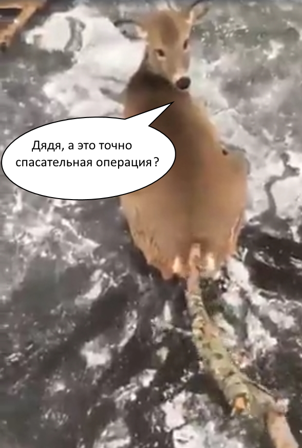 Этот удивительный мир