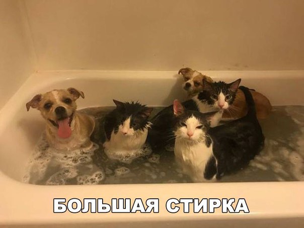 Немного картинок для настроения 23.12.19