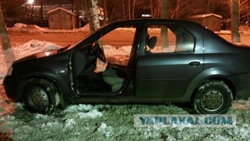 Печалька с колесами в Екб