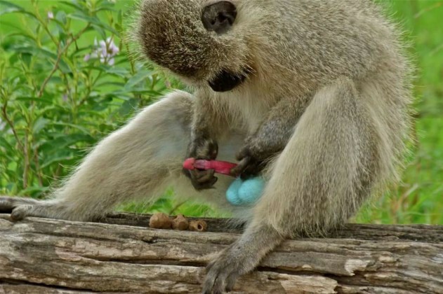Фото с сайта знакомств 2