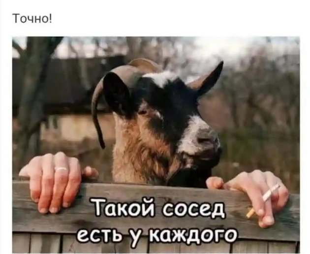 Немного картинок и демотиваторов со старого винта - 3