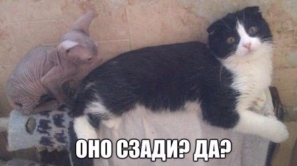 Чуток картинок 05.05.20