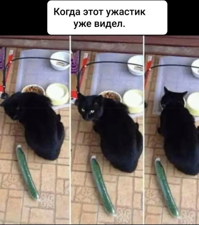 Так себе картинки 15.05.20