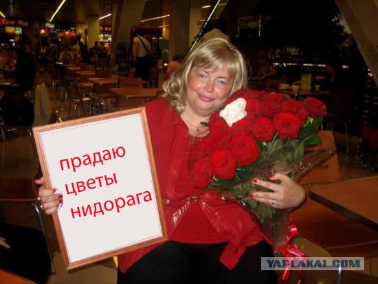 Фотожаба: Кризис Шоу-Бизнеса
