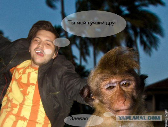 Проспал экзамен!