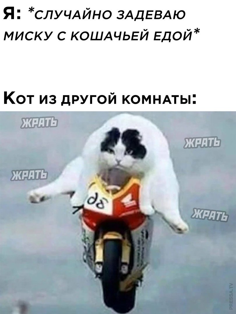 15078985.jpg