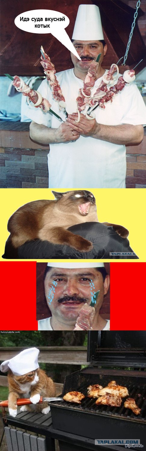 Фотожаба: Что с котэ?