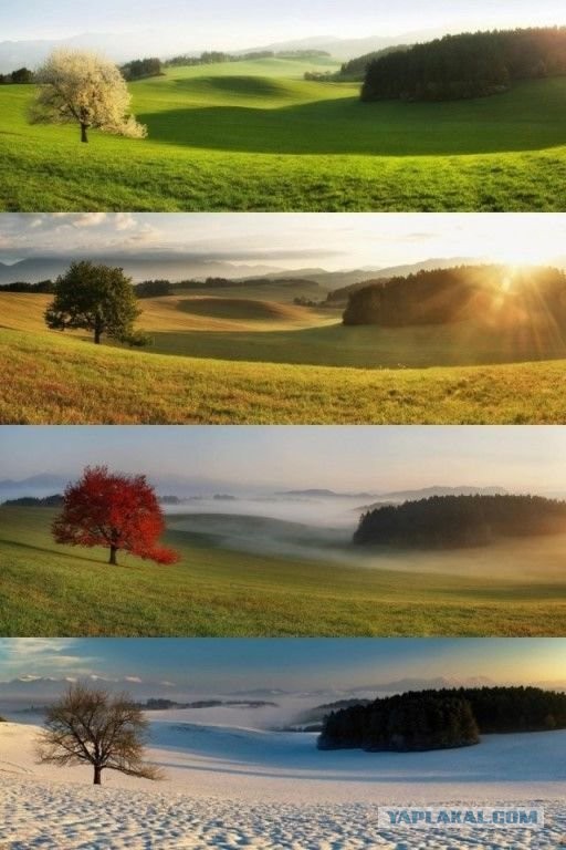 Красота фотографии