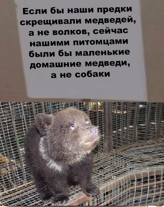 Картинки с надписями и всякие жизненные фразы 23.1.21