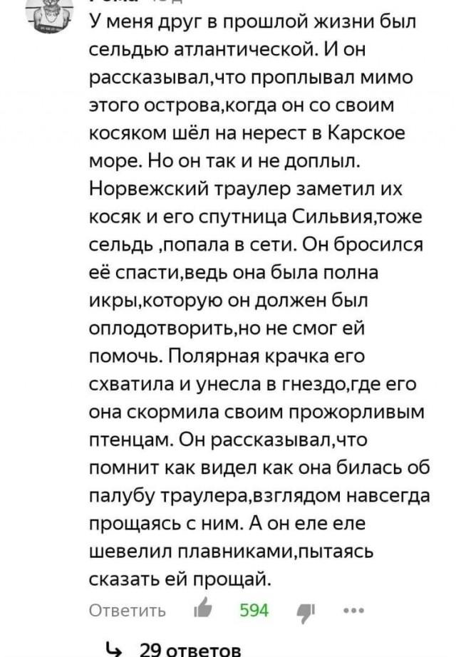 Не очень адекватный юмор