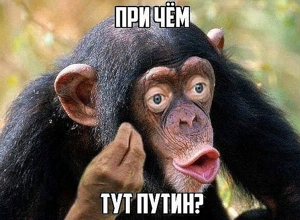 Что вы сделали для того, чтобы вас родина любила?