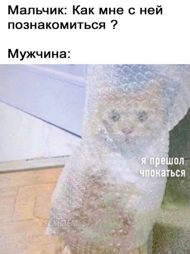 Картинки и мемы для настроения 23.06.2021