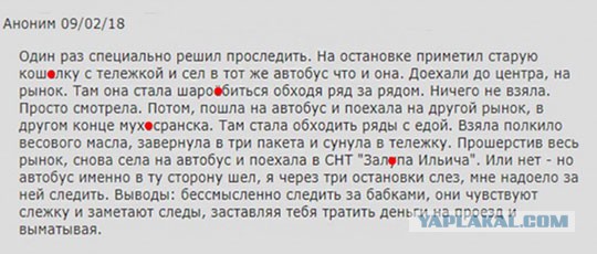 Так себе картинки 08.11.21