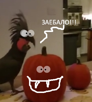 Ну ты смотри, какой хулиган-беспредельщик!