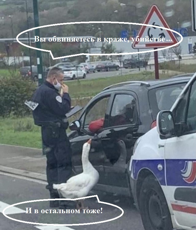 Четверг, а значит пора начинать деградировать...