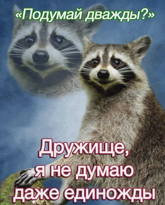 40 картинок разных 05.05.2022