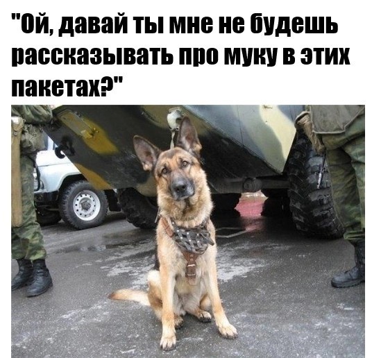 Картинки с надписями и всякие жизненные фразы 05.05.2022